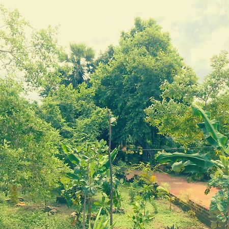 Oleena Home Stay Habarana Esterno foto