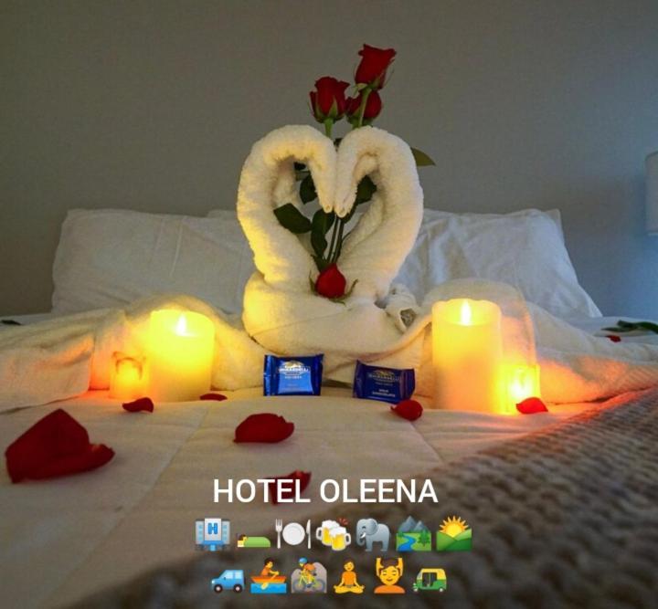 Oleena Home Stay Habarana Esterno foto