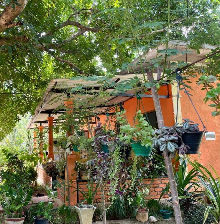 Oleena Home Stay Habarana Esterno foto