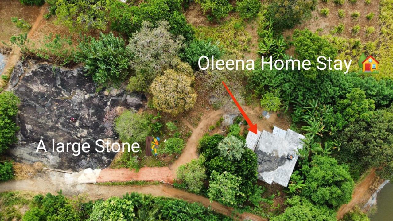 Oleena Home Stay Habarana Esterno foto