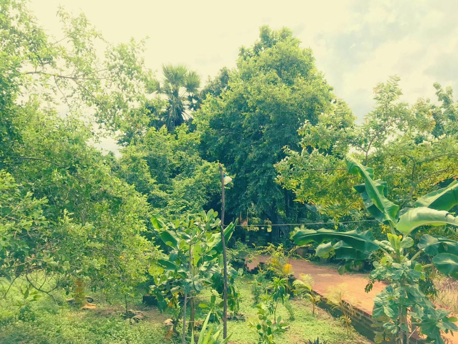 Oleena Home Stay Habarana Esterno foto