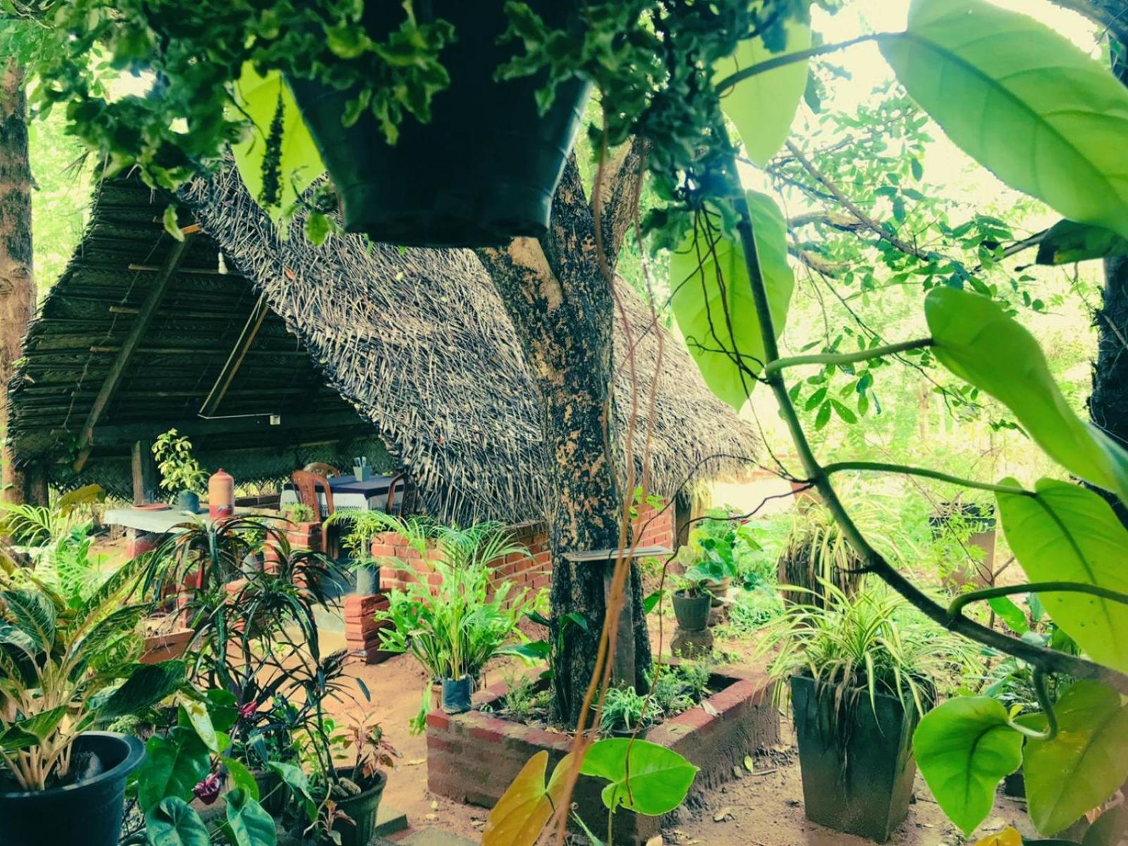 Oleena Home Stay Habarana Esterno foto