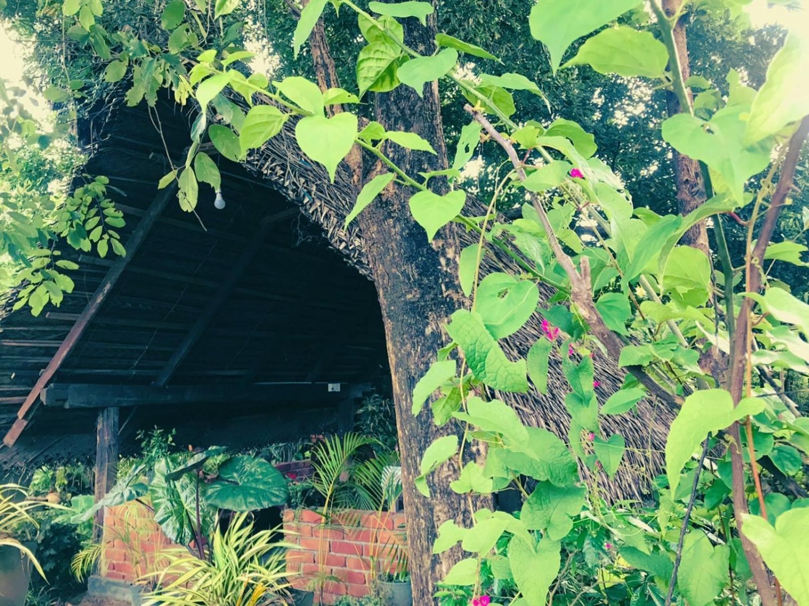 Oleena Home Stay Habarana Esterno foto
